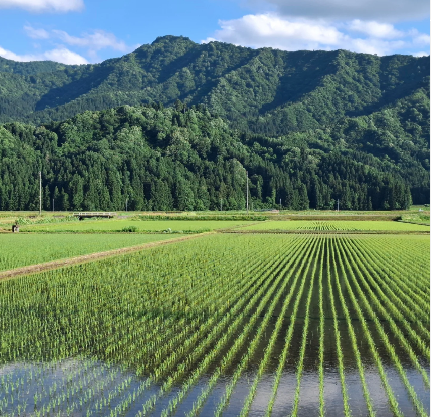 豊かな水と大地の恵みを大切に育んでいます